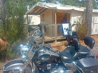 harley road king classic 107