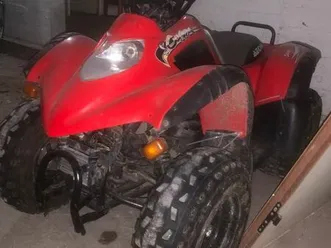 quad eaon cobra 125 cm3 homologué