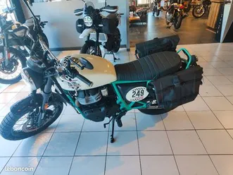 royal enfield continental gt bear