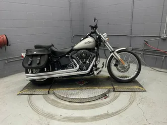 2007 softail® night train®