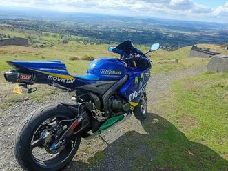 honda, cbr, 2005, 599 (cc)