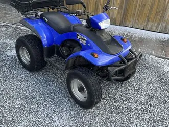 quad e-ton yukon 150 ccm krzątka
