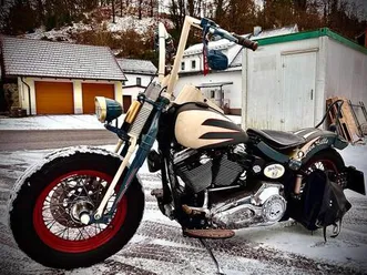 harley softail springer (no fatboy, heritage,night train…)