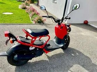 zoomer nps50 top zustand, raritã¤t