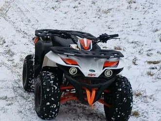 kayo au 110 quad kinderquad