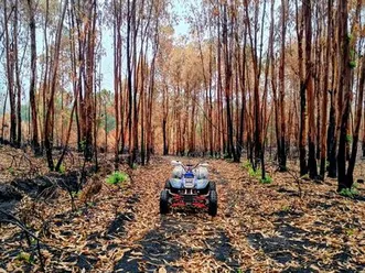 yamaha-warrior-350-arca-e-ponte-de-lima
