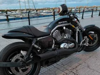 harley davidson - vrod