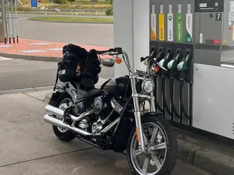 harley-davidson softail standard