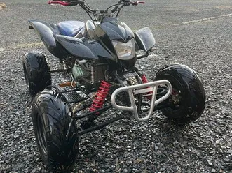 quad bashan shineray