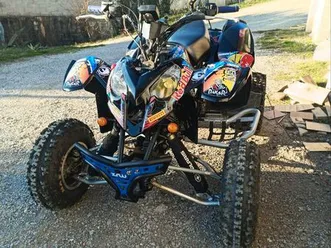 polaris predator 500