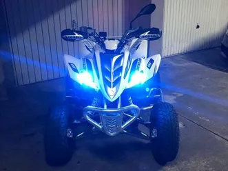 quad 350 raptor