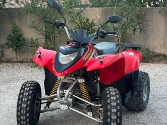 polaris phoenix 200 entièrement révisé