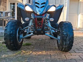 quad 350 raptor