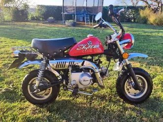 moto monkey skyteam 50 cc