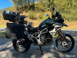 tiger 1200 rally pro