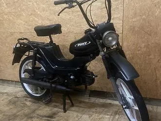 pony cross canton berne -