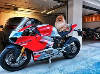 ducati panigale v4s corse - desmo fatto