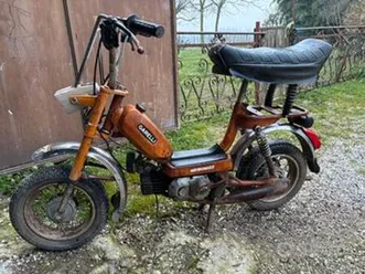 mini chic garelli katia