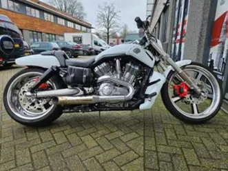 harley-davidson v-rod muscle vrscf 2017 — motoren | harley-davidson — marktplaats