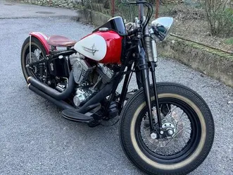 harley davidson springer