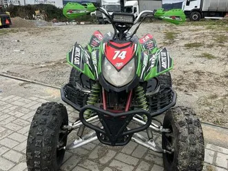 artic cat dvx 400 meinedo