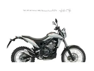 vendo betamotor alp 4.0 (2024 - 26) nuova a firenze (codice 9900205) - moto.it