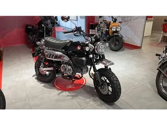 vendo honda monkey 125 (2025 - 26) nuova a arezzo (codice 9732678) - moto.it