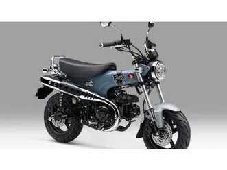vendo honda dax 125 (2025 - 26) nuova a cureggio (codice 9196260) - moto.it