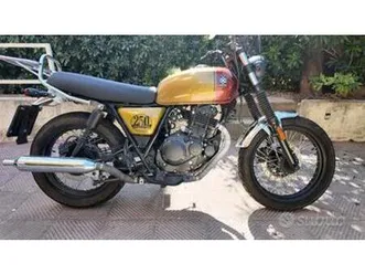 brixton cromwell 250 - 2022