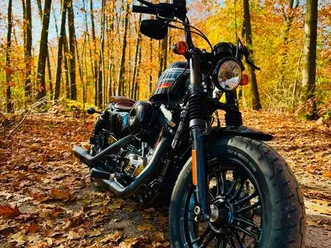 harley davidson 48 special