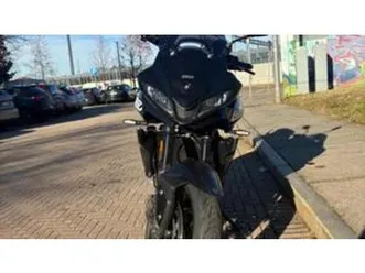 tiger sport 660 (2025)