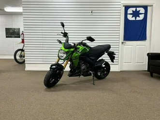 2024 kawasaki z125 pro
