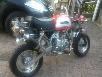 skyteam honda monkey gorilla 125er eingetragen takegawa daytona