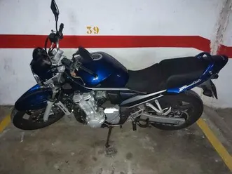 suzuki - gsf650 bandit