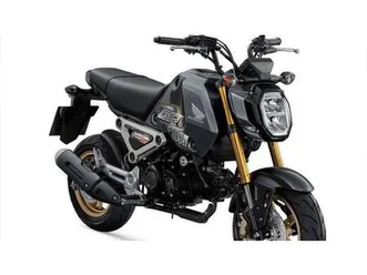vendo honda msx 125 grom (2021 - 26) nuova a cureggio (codice 9163819) - moto.it