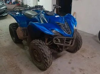 350 yamaha wolverine