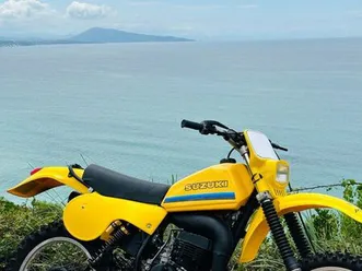 suzuki 175 pe