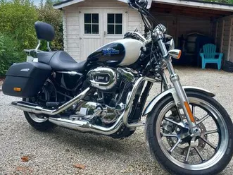 1200 harley davidson low