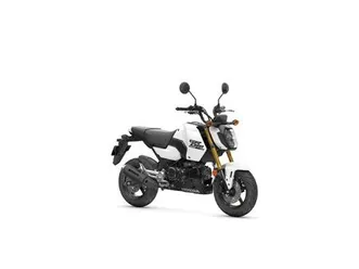 honda msx125 grom