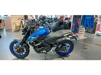 yamaha mt 125 2025 in blau und grau lieferbar