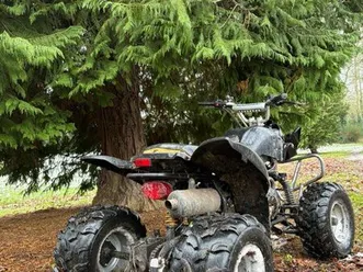 quad-250