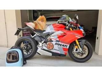 panigale v4 s 1100 corse (2019)