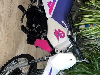 recherche piwi rose 1993 1991