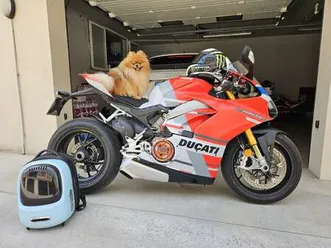 ducati panigale v4 s corse