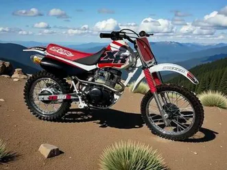 honda xr80r motorcycle