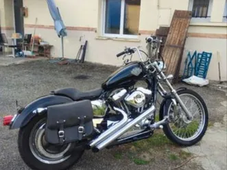 1200 sportster custom