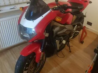 aprilia tuono fighter