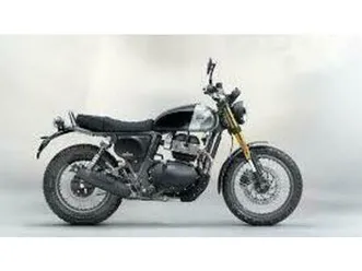 vendo royal enfield bear 650 (2025 - 26) usata a beregazzo con figliaro (codice 9823799) - moto.it