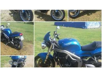 vendo triumph speed triple 955 (1998 - 01) usata a novara (codice 9909424) - moto.it
