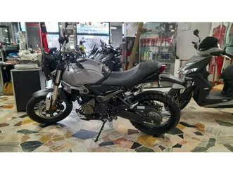 vendo voge trofeo 300acx scrambler (2021 - 26) nuova a calco (codice 9880204) - moto.it